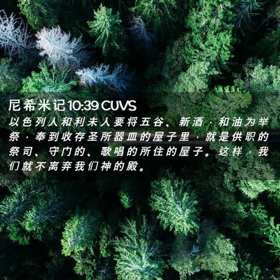 Picture 02 - 尼 希 米 记 10:39 CUVS - 以 色 列 人 和 利 未 人 要 将 五 谷 - Bible Verse Picture