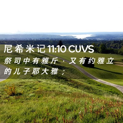 Picture 02 - 尼 希 米 记 11:10 CUVS - 祭 司 中 有 雅 斤 ， 又 有 约 雅 立 - Bible Verse Picture
