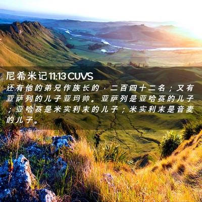 Picture 02 - 尼 希 米 记 11:13 CUVS - 还 有 他 的 弟 兄 作 族 长 的 ， 二 - Bible Verse Picture