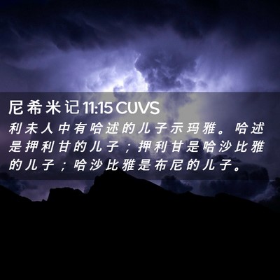 Picture 02 - 尼 希 米 记 11:15 CUVS - 利 未 人 中 有 哈 述 的 儿 子 示 玛 - Bible Verse Picture