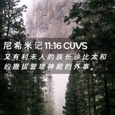 Picture 02 - 尼 希 米 记 11:16 CUVS - 又 有 利 未 人 的 族 长 沙 比 太 和 - Bible Verse Picture