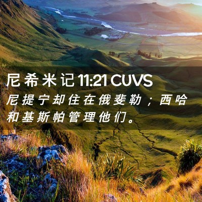 Picture 02 - 尼 希 米 记 11:21 CUVS - 尼 提 宁 却 住 在 俄 斐 勒 ； 西 哈 - Bible Verse Picture