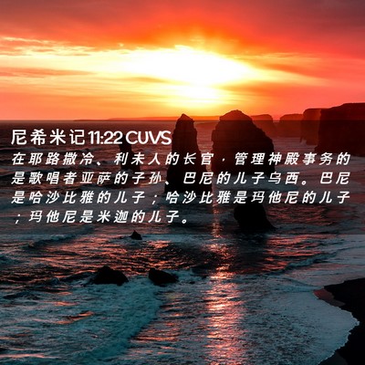 Picture 02 - 尼 希 米 记 11:22 CUVS - 在 耶 路 撒 冷 、 利 未 人 的 长 官 - Bible Verse Picture