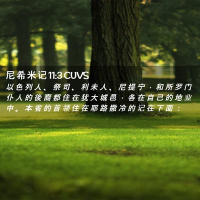 Picture 02 - 尼 希 米 记 11:3 CUVS - 以 色 列 人 、 祭 司 、 利 未 人 、 - Bible Verse Picture