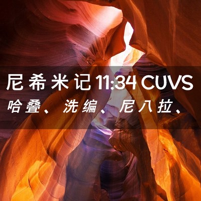 Picture 02 - 尼 希 米 记 11:34 CUVS - 哈 叠 、 洗 编 、 尼 八 拉 - Bible Verse Picture
