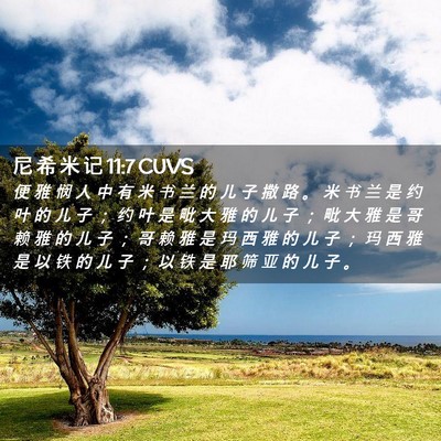 Picture 02 - 尼 希 米 记 11:7 CUVS - 便 雅 悯 人 中 有 米 书 兰 的 儿 子 - Bible Verse Picture