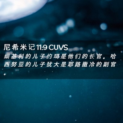 Picture 02 - 尼 希 米 记 11:9 CUVS - 细 基 利 的 儿 子 约 珥 是 他 们 的 - Bible Verse Picture