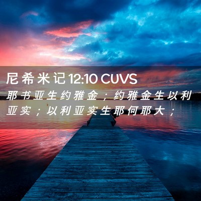 Picture 02 - 尼 希 米 记 12:10 CUVS - 耶 书 亚 生 约 雅 金 ； 约 雅 金 生 - Bible Verse Picture
