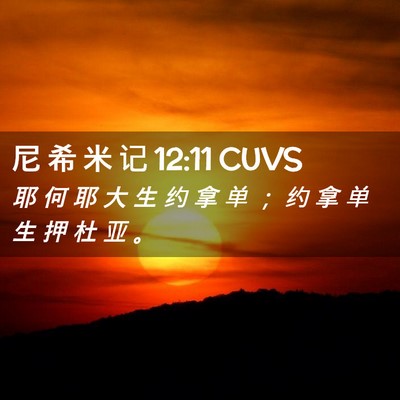 Picture 02 - 尼 希 米 记 12:11 CUVS - 耶 何 耶 大 生 约 拿 单 ； 约 拿 单 - Bible Verse Picture