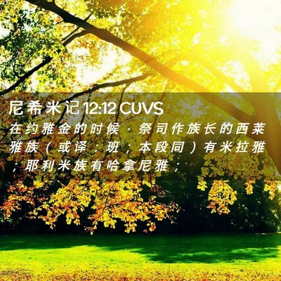 Picture 02 - 尼 希 米 记 12:12 CUVS - 在 约 雅 金 的 时 候 ， 祭 司 作 族 - Bible Verse Picture