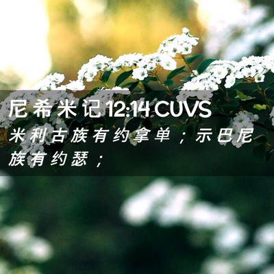 Picture 02 - 尼 希 米 记 12:14 CUVS - 米 利 古 族 有 约 拿 单 ； 示 巴 尼 - Bible Verse Picture