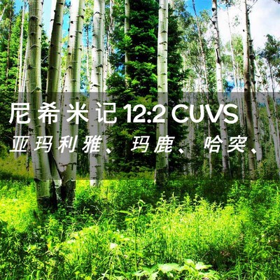 Picture 02 - 尼 希 米 记 12:2 CUVS - 亚 玛 利 雅 、 玛 鹿 、 哈 突 - Bible Verse Picture