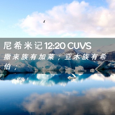 Picture 02 - 尼 希 米 记 12:20 CUVS - 撒 来 族 有 加 莱 ； 亚 木 族 有 希 - Bible Verse Picture