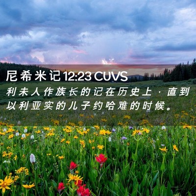 Picture 02 - 尼 希 米 记 12:23 CUVS - 利 未 人 作 族 长 的 记 在 历 史 上 - Bible Verse Picture