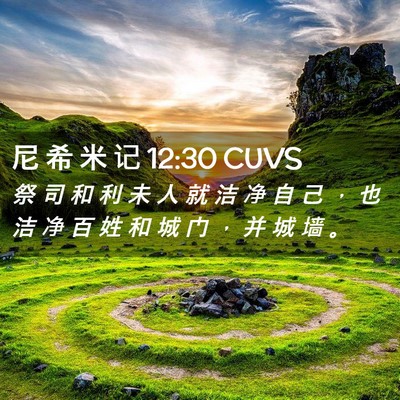 Picture 02 - 尼 希 米 记 12:30 CUVS - 祭 司 和 利 未 人 就 洁 净 自 己 ， - Bible Verse Picture