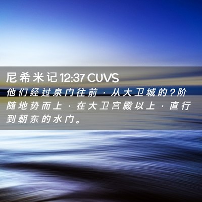 Picture 02 - 尼 希 米 记 12:37 CUVS - 他 们 经 过 泉 门 往 前 ， 从 大 卫 - Bible Verse Picture