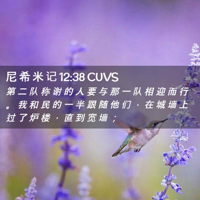 Picture 02 - 尼 希 米 记 12:38 CUVS - 第 二 队 称 谢 的 人 要 与 那 一 队 - Bible Verse Picture