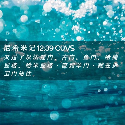 Picture 02 - 尼 希 米 记 12:39 CUVS - 又 过 了 以 法 莲 门 、 古 门 、 鱼 - Bible Verse Picture