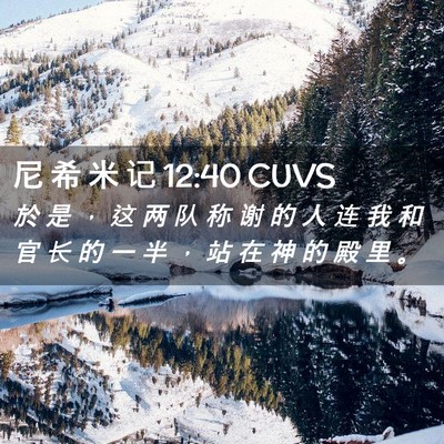 Picture 02 - 尼 希 米 记 12:40 CUVS - 於 是 ， 这 两 队 称 谢 的 人 连 我 - Bible Verse Picture