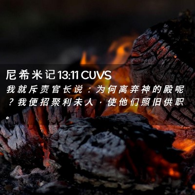 Picture 02 - 尼 希 米 记 13:11 CUVS - 我 就 斥 责 官 长 说 ： 为 何 离 弃 - Bible Verse Picture