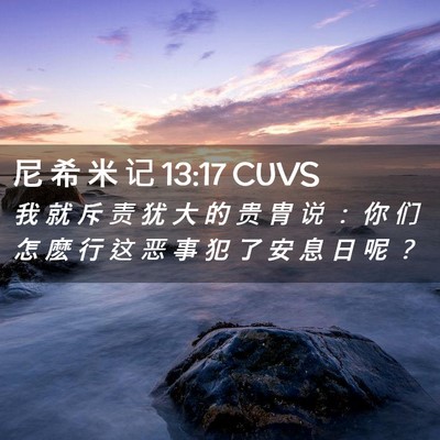Picture 02 - 尼 希 米 记 13:17 CUVS - 我 就 斥 责 犹 大 的 贵 胄 说 ： 你 - Bible Verse Picture