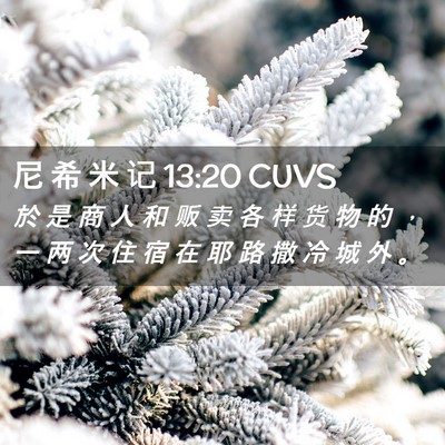 Picture 02 - 尼 希 米 记 13:20 CUVS - 於 是 商 人 和 贩 卖 各 样 货 物 的 - Bible Verse Picture