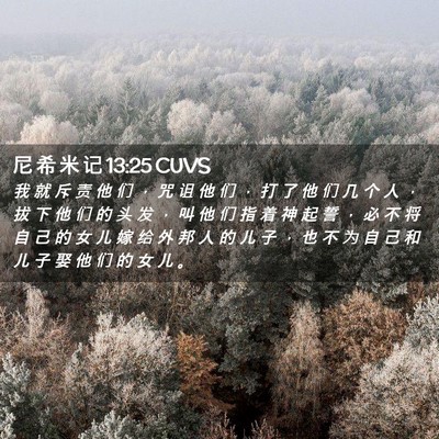 Picture 02 - 尼 希 米 记 13:25 CUVS - 我 就 斥 责 他 们 ， 咒 诅 他 们 ， - Bible Verse Picture