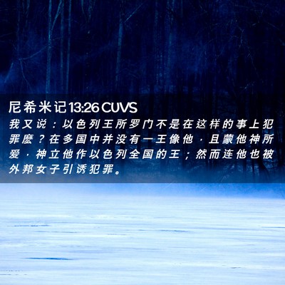 Picture 02 - 尼 希 米 记 13:26 CUVS - 我 又 说 ： 以 色 列 王 所 罗 门 不 - Bible Verse Picture
