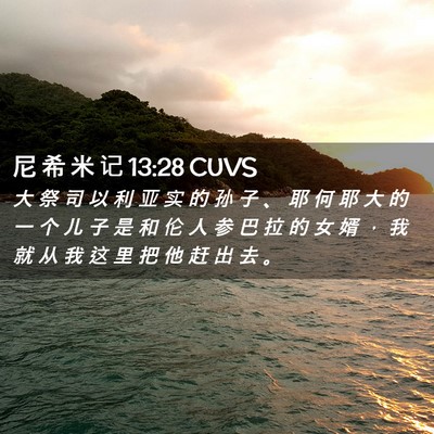 Picture 02 - 尼 希 米 记 13:28 CUVS - 大 祭 司 以 利 亚 实 的 孙 子 、 耶 - Bible Verse Picture