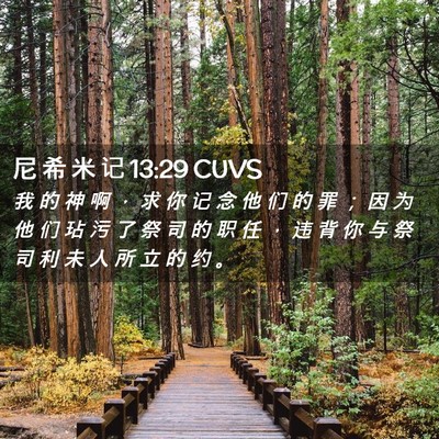 Picture 02 - 尼 希 米 记 13:29 CUVS - 我 的 神 啊 ， 求 你 记 念 他 们 的 - Bible Verse Picture