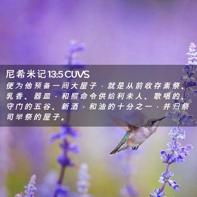 Picture 02 - 尼 希 米 记 13:5 CUVS - 便 为 他 预 备 一 间 大 屋 子 ， 就 - Bible Verse Picture