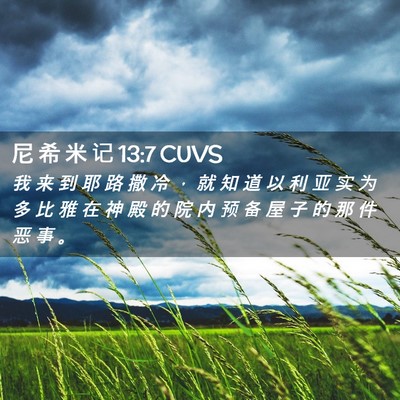 Picture 02 - 尼 希 米 记 13:7 CUVS - 我 来 到 耶 路 撒 冷 ， 就 知 道 以 - Bible Verse Picture