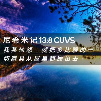 Picture 02 - 尼 希 米 记 13:8 CUVS - 我 甚 恼 怒 ， 就 把 多 比 雅 的 一 - Bible Verse Picture