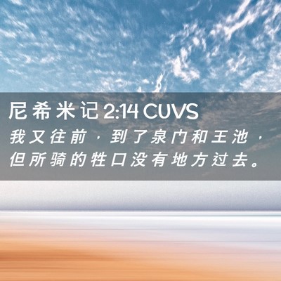 Picture 02 - 尼 希 米 记 2:14 CUVS - 我 又 往 前 ， 到 了 泉 门 和 王 池 - Bible Verse Picture