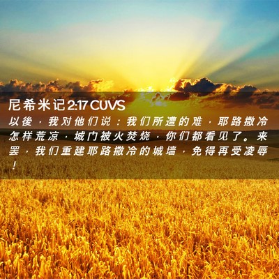Picture 02 - 尼 希 米 记 2:17 CUVS - 以 後 ， 我 对 他 们 说 ： 我 们 所 - Bible Verse Picture