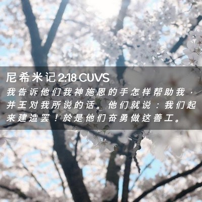 Picture 02 - 尼 希 米 记 2:18 CUVS - 我 告 诉 他 们 我 神 施 恩 的 手 怎 - Bible Verse Picture