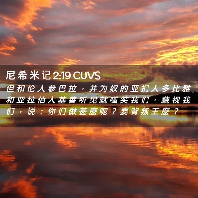 Picture 02 - 尼 希 米 记 2:19 CUVS - 但 和 伦 人 参 巴 拉 ， 并 为 奴 的 - Bible Verse Picture