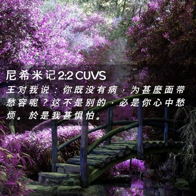 Picture 02 - 尼 希 米 记 2:2 CUVS - 王 对 我 说 ： 你 既 没 有 病 ， 为 - Bible Verse Picture