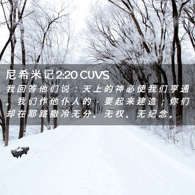 Picture 02 - 尼 希 米 记 2:20 CUVS - 我 回 答 他 们 说 ： 天 上 的 神 必 - Bible Verse Picture