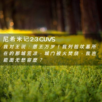 Picture 02 - 尼 希 米 记 2:3 CUVS - 我 对 王 说 ： 愿 王 万 岁 ！ 我 列 - Bible Verse Picture