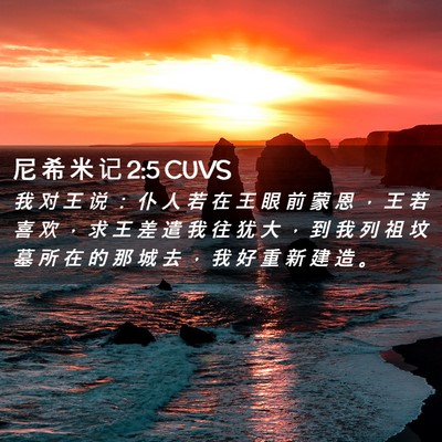 Picture 02 - 尼 希 米 记 2:5 CUVS - 我 对 王 说 ： 仆 人 若 在 王 眼 前 - Bible Verse Picture