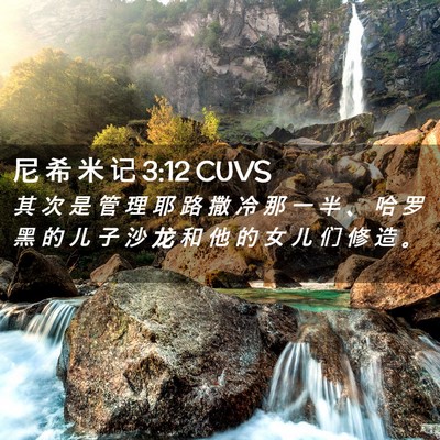 Picture 02 - 尼 希 米 记 3:12 CUVS - 其 次 是 管 理 耶 路 撒 冷 那 一 半 - Bible Verse Picture