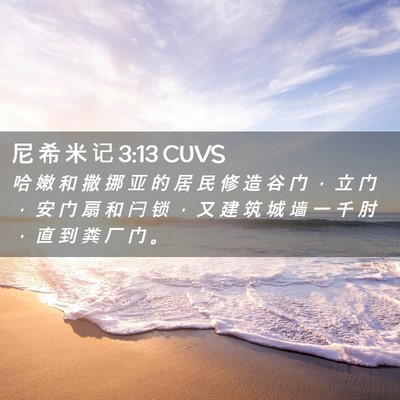Picture 02 - 尼 希 米 记 3:13 CUVS - 哈 嫩 和 撒 挪 亚 的 居 民 修 造 谷 - Bible Verse Picture