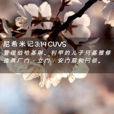 Picture 02 - 尼 希 米 记 3:14 CUVS - 管 理 伯 哈 基 琳 、 利 甲 的 儿 子 - Bible Verse Picture