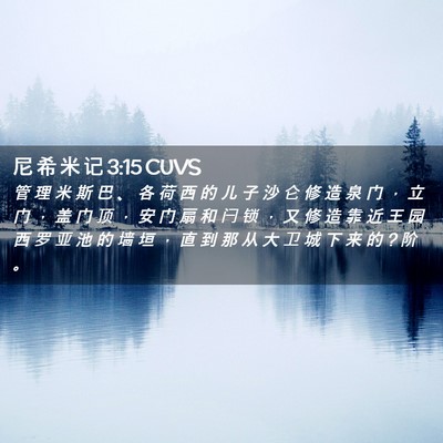Picture 02 - 尼 希 米 记 3:15 CUVS - 管 理 米 斯 巴 、 各 荷 西 的 儿 子 - Bible Verse Picture