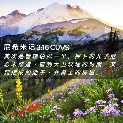 Picture 02 - 尼 希 米 记 3:16 CUVS - 其 次 是 管 理 伯 夙 一 半 、 押 卜 - Bible Verse Picture
