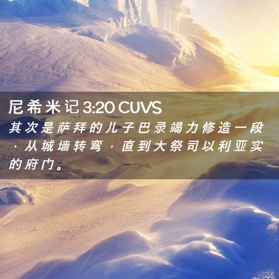 Picture 02 - 尼 希 米 记 3:20 CUVS - 其 次 是 萨 拜 的 儿 子 巴 录 竭 力 - Bible Verse Picture