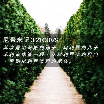 Picture 02 - 尼 希 米 记 3:21 CUVS - 其 次 是 哈 哥 斯 的 孙 子 、 乌 利 - Bible Verse Picture