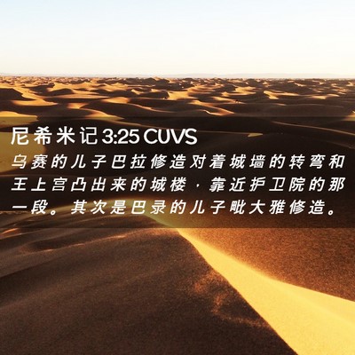 Picture 02 - 尼 希 米 记 3:25 CUVS - 乌 赛 的 儿 子 巴 拉 修 造 对 着 城 - Bible Verse Picture