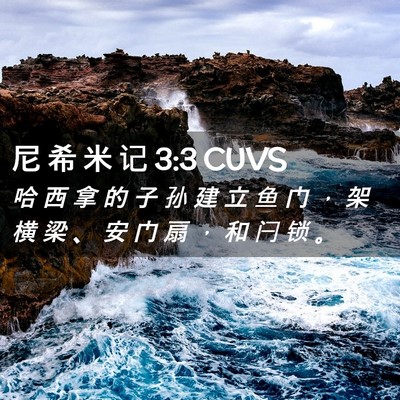 Picture 02 - 尼 希 米 记 3:3 CUVS - 哈 西 拿 的 子 孙 建 立 鱼 门 ， 架 - Bible Verse Picture